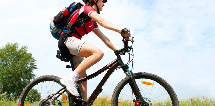 Quisque mauris risus gravida a molestie