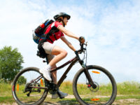 Sed blandit massa vel