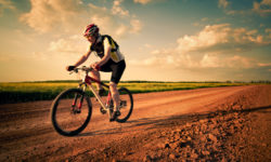 Suspendisse arcu nisl