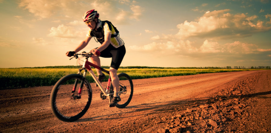 Vivamus eu enim a orci accumsan