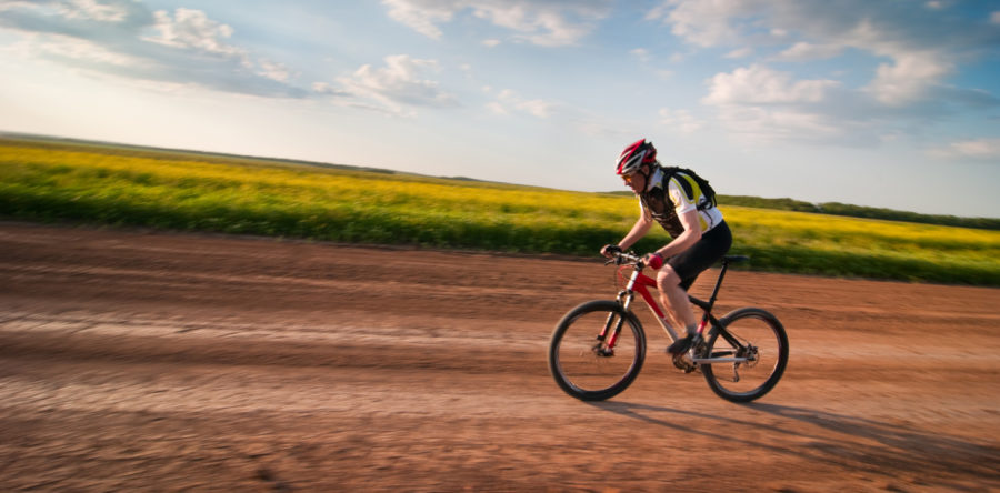 Phasellus hendrerit dapibus libero